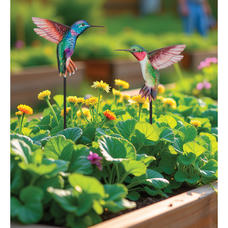 Ensemble de 2 plantes à colibri