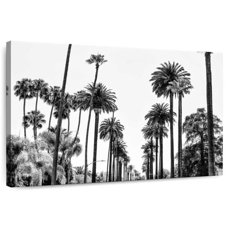 Palmeraie Harnek, Californie, Californie, H 30 po x l 45 po