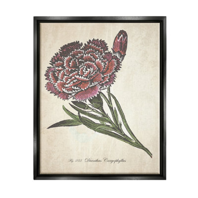 «Botanical Carnation Flower», art mural rouge sur toile par The Evening