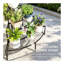 Plant Stand