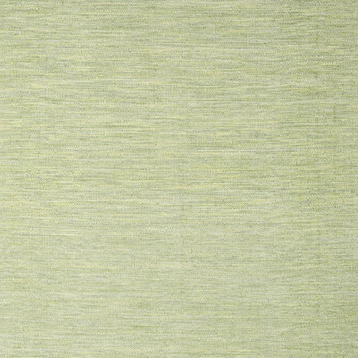 Indoor Rug