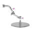 Pomme de douche réglable de 4 pouces avec bras d'extension réglable-97706143