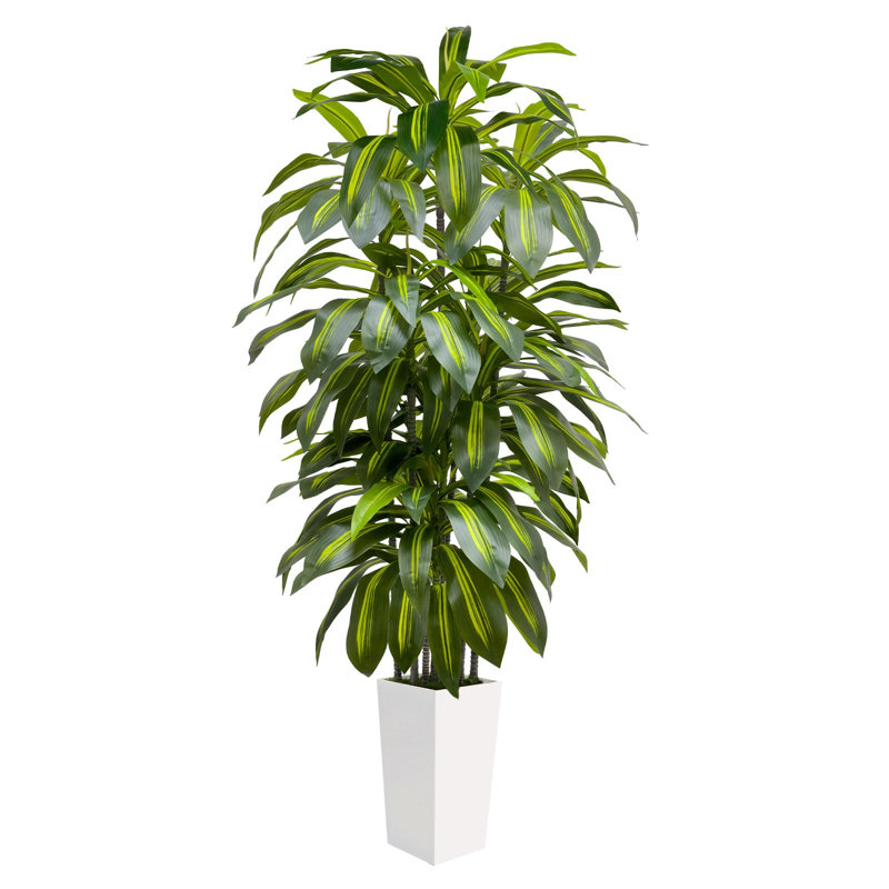 Faux Plant, 180cm/6ft