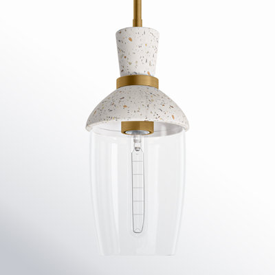 Rounak Single Light Glass Dimmable Pendant