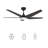52" Smart Ceiling Fan with Remote, LED Light kit, DC Motor, Downrod Included.