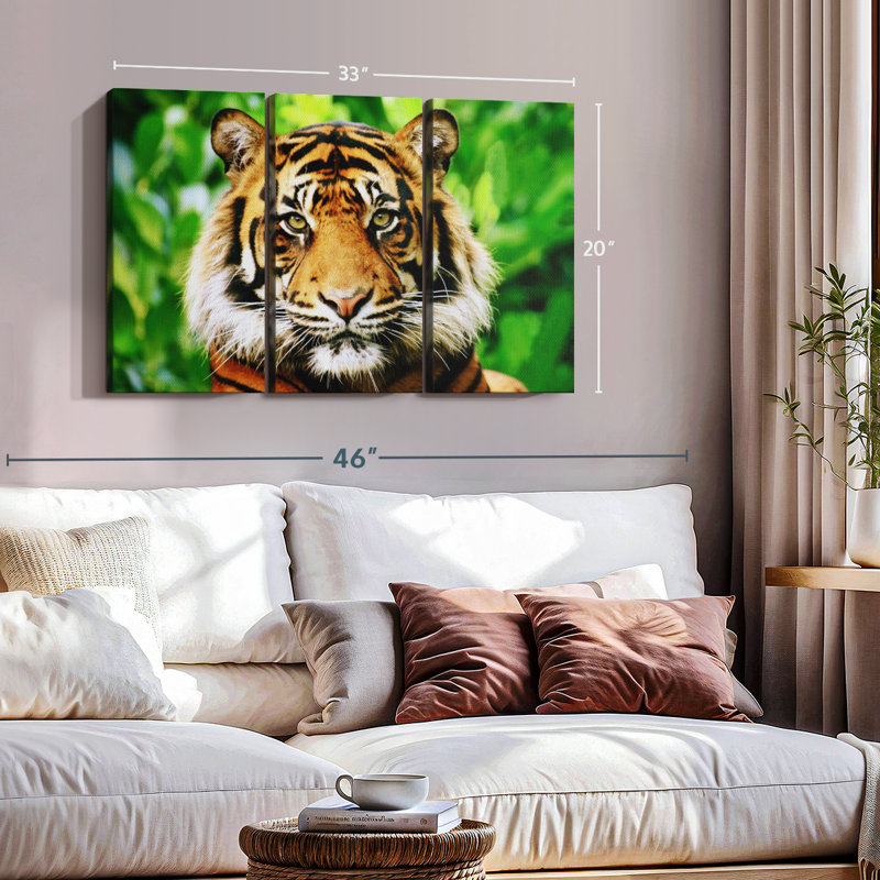 «Sumatran Tiger Gaze» sur, H 20 po x l 33 po x P 1,25 po