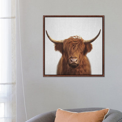 Highland Cow by Gal Design - Print on Canvas