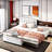 Castries Upholstery Platform Bed with Multifunctional Trundle-1762395472