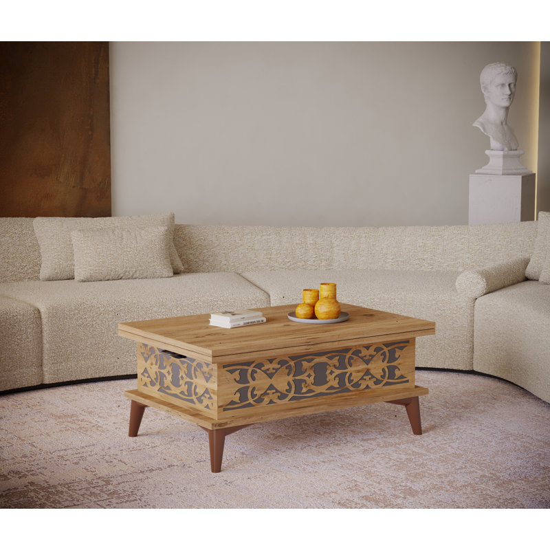 Lift Top Frame Coffee Table with Storage, Brown/Dark Brown