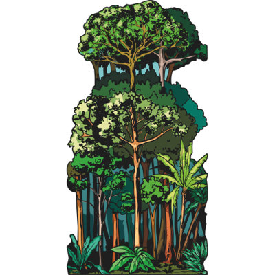 SP13340 Illustration de forêt tropicale et arbres découpés en carton debout