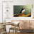 Brampt Proud Puffin-108127122