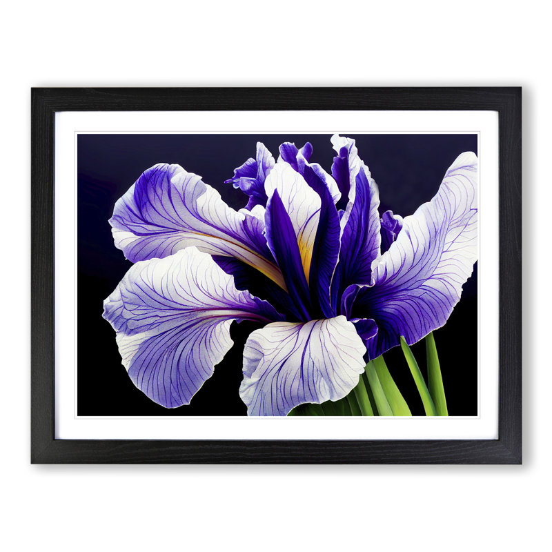 Luscious Iris Flowers - Single Picture Frame Print, 25cm H x 34cm W x 2cm D, Black