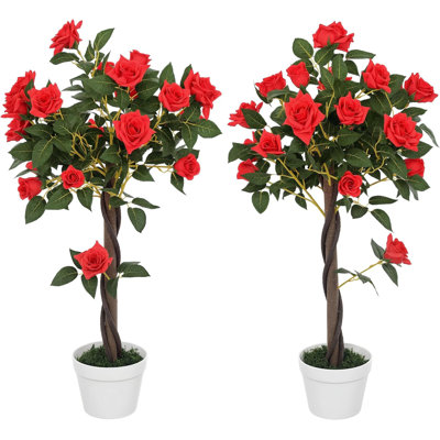 Arrangement in Pot