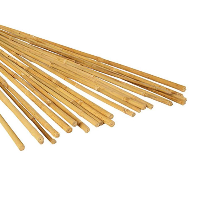 Senetra Bamboo Plants & Flowers Garden Stake