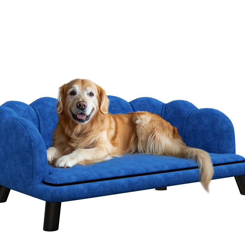 Lit pour chien rembourré en mousse, velours bleu foncé pour les chiens de taille moyenne et grande, races douillettes élégantes, chic relaxant