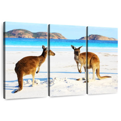 Cape Le Grand Kangaroos