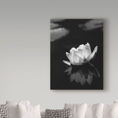 Euna 'Water Lily' Photographic Print on Wrapped Canvas