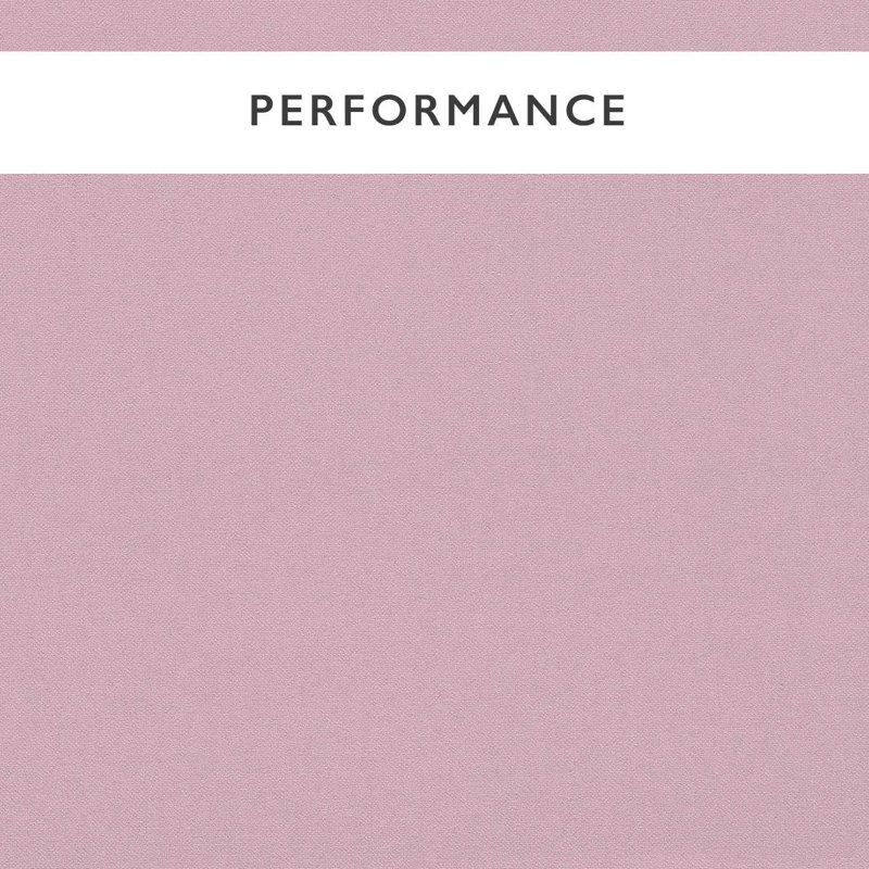 Allegra, Lilac