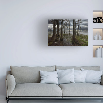 Wrapped Canvas Wall Art - Jon Evan 'Light on Lake Louisa' Wall Art for Living Room, Bedroom, or Office Décor - 16x24