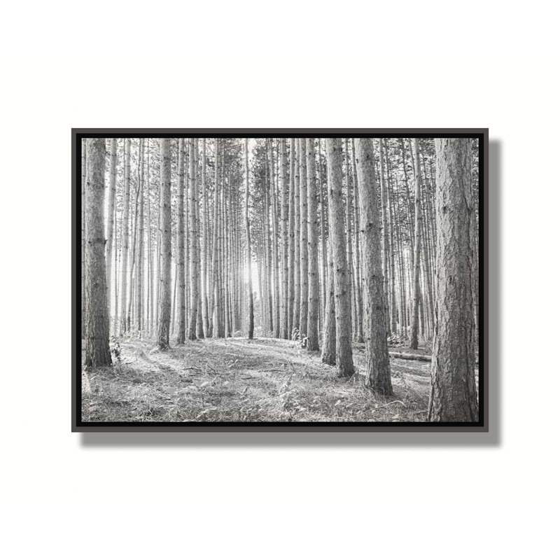 Seek par Hal Halli. Estampe numérique, Noir, H 36,5 po x l 48,5 po, Impression encadrée sans passe-partout