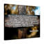 No Frame Print on Canvas-803337598