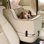 Grand transporteur pour animal de compagnie à dossier haut Luxury