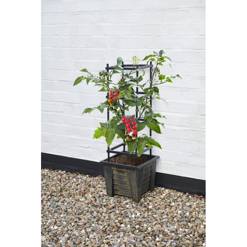 Claudette 4 Tier Trellis Planter