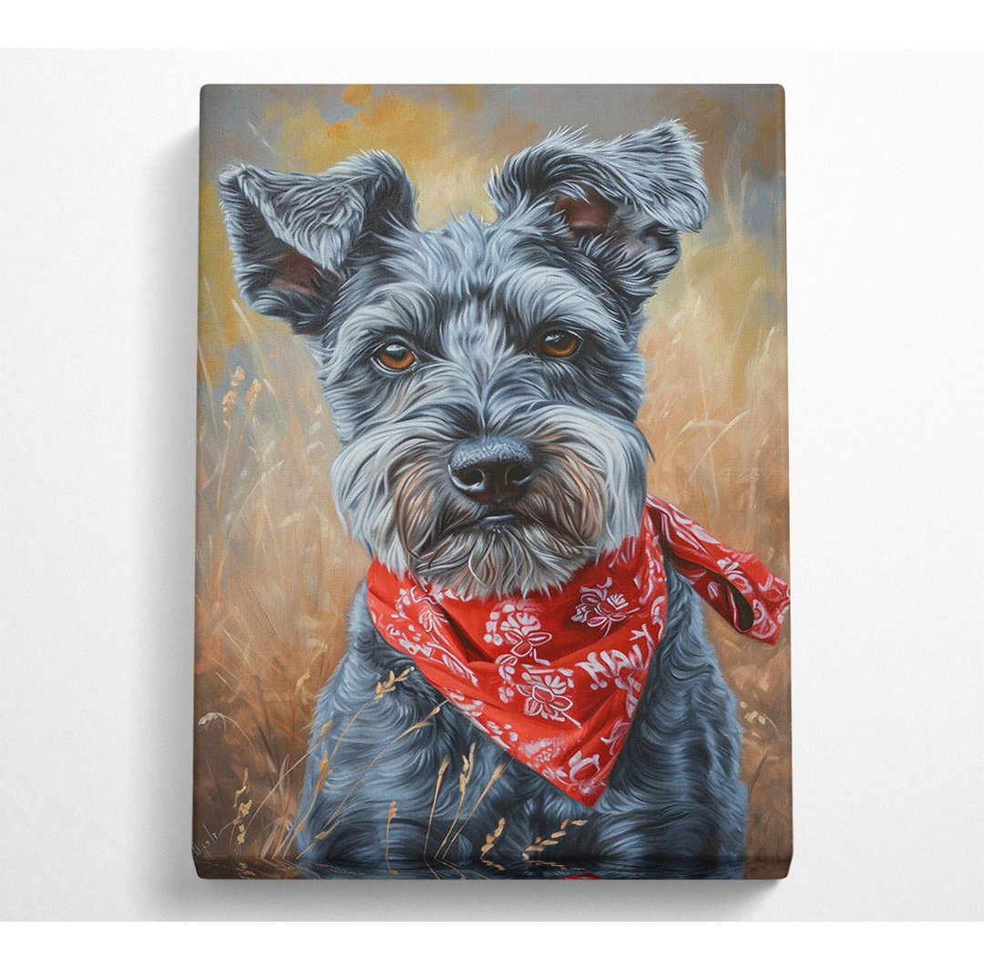 Schnauzer Bandana Canvas Druck