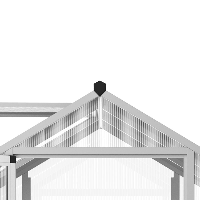 Clear Polycarbonate Walk-In Greenhouse with Aluminum Frame