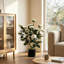 65 cm H Faux Plant in Cement Freestanding  Planter-408558953
