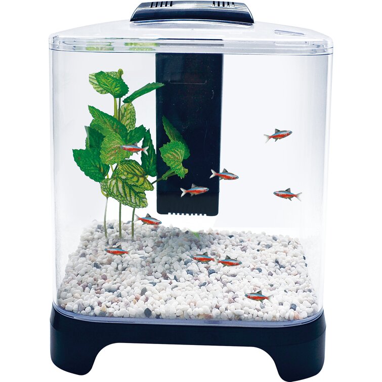 Penn Plax 1.5 Gallon Betta Aquarium Kit & Reviews