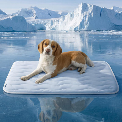 Bedsure Cooling Mat for Dogs, Q-Max Greater Than 0.4, Thin Breathable Cooling Crate Pad, Indoor Pet Cooling Topper with Chill Cool Fibre, Portable Washable Kennel Mat for Outdoor Summer Use