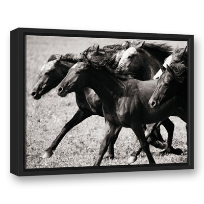 " Horses Racing "