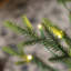 Sapin de Noël artificiel avec lumières Mcdaniel-1434613074