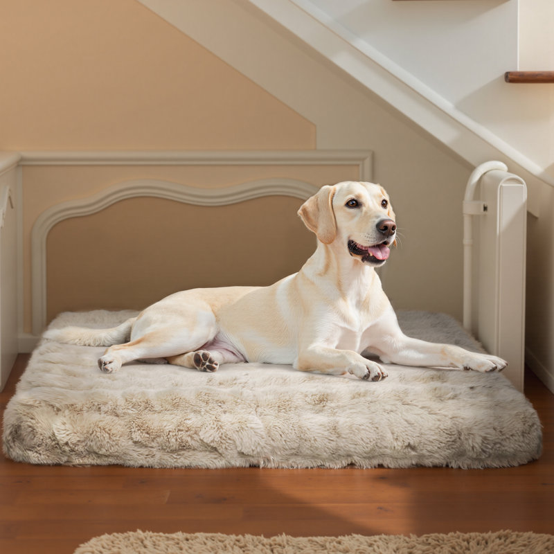 Dog Bed, Beige, 12cm H x 130cm W x 110cm D