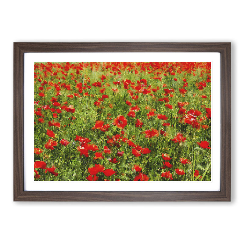 Field of Poppies Vol.2 - Framed Print, 36cm H x 48cm W x 2cm D, Walnut Framed