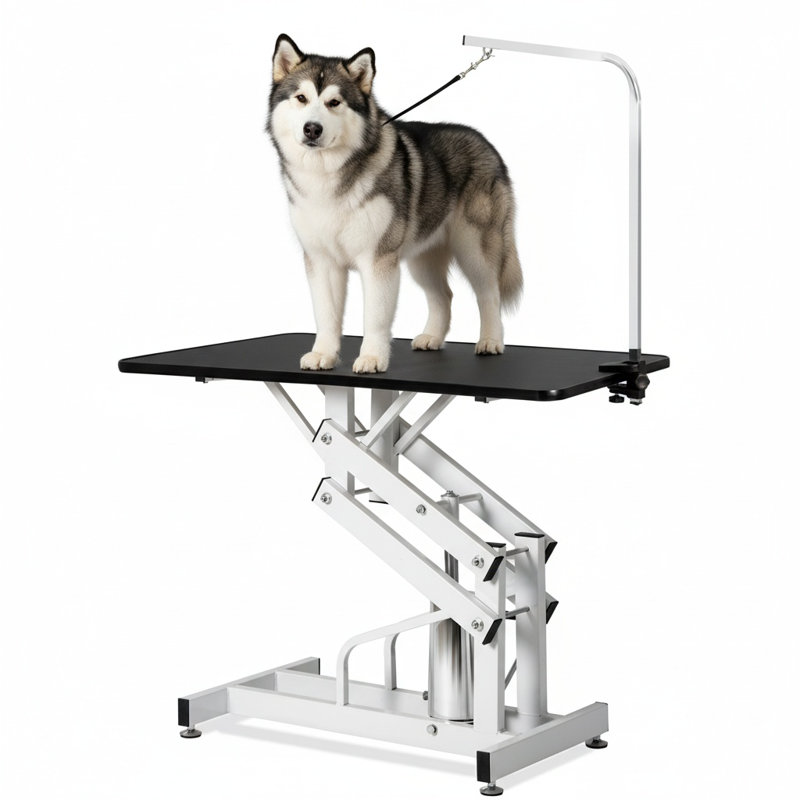 Table de toilettage hydraulique robuste pour chien Z-Lift