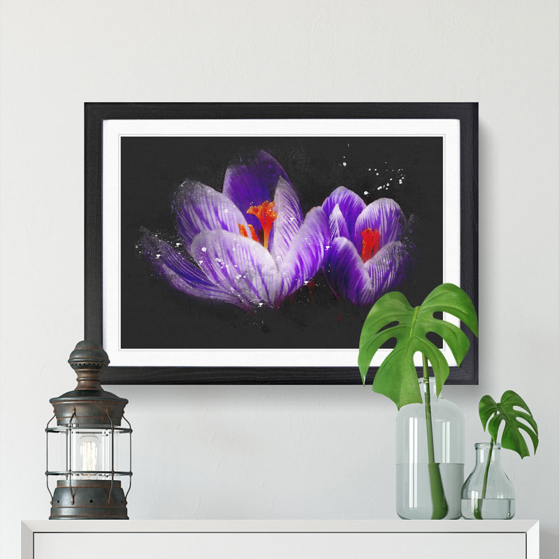 Purple Crocus Flower - Picture Frame Graphic Art Print, 62cm H x 87cm W x 2cm D, Black Framed