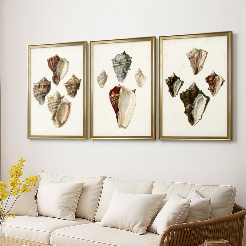 Sowerby Shells I - Toile tendue avec châssis sur mesure - 3 pièces, 15" H x 19" W, Gold