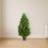 Bay Leaf Artificial Topiary Tree UV