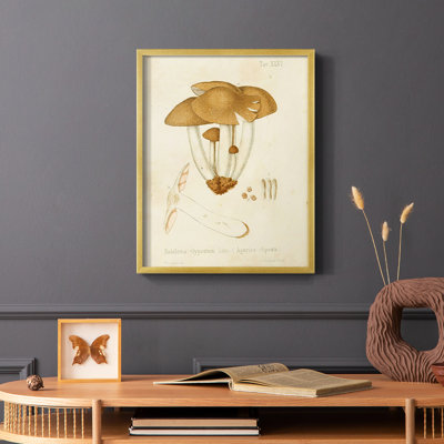 Reproduction encadrée champignon V Variétés - bois massif