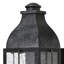 Bingham Outdoor Wall Lantern-2039406809-2113209796