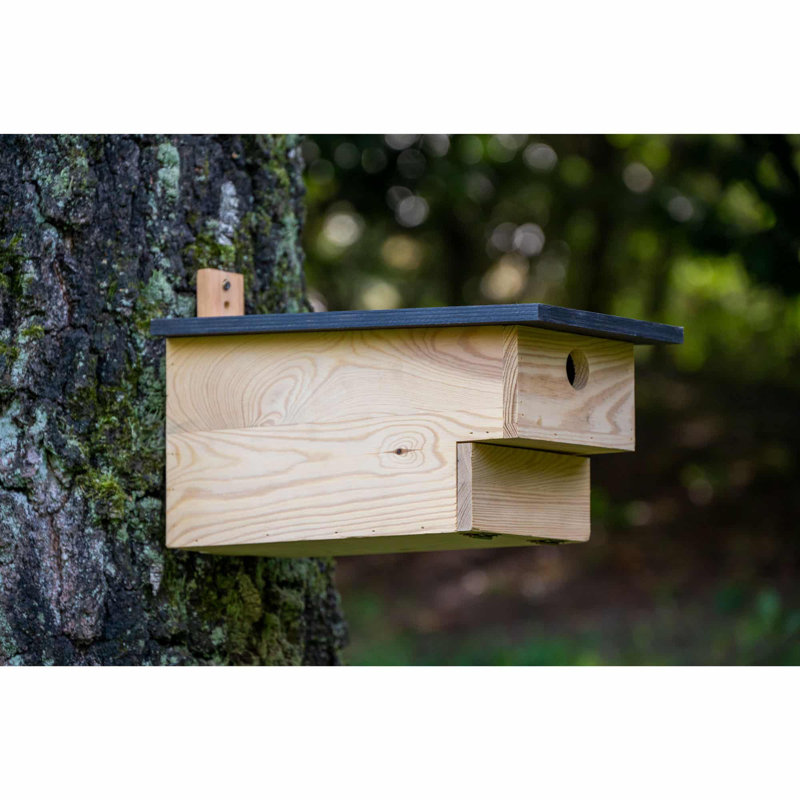 Mounted Bird House
