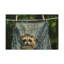 No Frame Print on Canvas-935617134