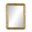 Vintage Louis Rectangle Metal Wall Mirror