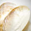 Abalone Shell Decorative Tray-524973235