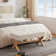 Mykyla Polyester Upholstered Bench