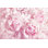 Magnifique fond floral par - Photographie sur toile tendue
