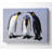 Penguin Shame - Wrapped Canvas Art Prints-736030095