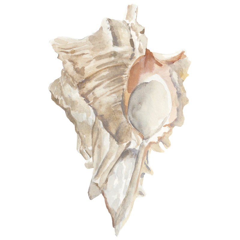 Seashell IV -  Painting, 76 cm H x 51 cm W, Black Floater Framed